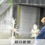 レス1番のリンク先のサムネイル画像