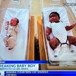 レス2番の画像1