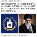 レス1番の画像1