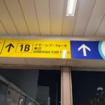 レス8番の画像3