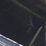 レス1番のリンク先のサムネイル画像