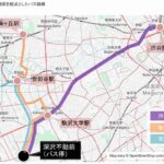 レス1番のリンク先のサムネイル画像