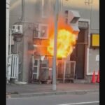 レス1番のリンク先のサムネイル画像