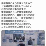 レス2番の画像1