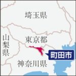 レス1番のリンク先のサムネイル画像