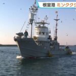 レス1番のリンク先のサムネイル画像