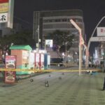 レス1番のリンク先のサムネイル画像