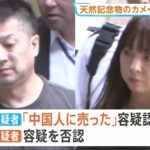 レス1番のリンク先のサムネイル画像