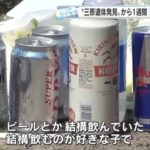 レス1番のリンク先のサムネイル画像