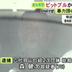 レス1番のリンク先のサムネイル画像