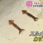 レス1番のリンク先のサムネイル画像