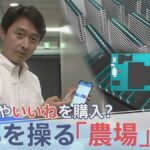 レス1番のリンク先のサムネイル画像