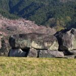 レス1番のリンク先のサムネイル画像