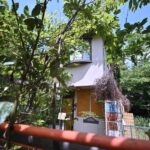 レス1番のリンク先のサムネイル画像