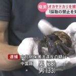 レス1番のリンク先のサムネイル画像