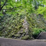 レス1番のリンク先のサムネイル画像