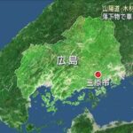 レス1番のリンク先のサムネイル画像