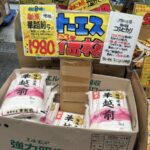 レス11番の画像1