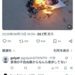 レス1番の画像1